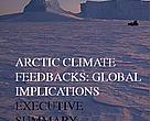 Arctic Climate Feedbacks: Global Implications (Executive Summary)