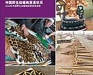 The State of Wildlife Trade in China (2008)