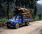 Logging trucks transporting timber from the last remaining forest in Sichuan. Sichuan Province, Pingwu China