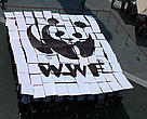 Students from East China Normal University help celebrate WWF-China's 30th Anniversary at the Shanghai Expo by forming a massive replica of WWF’s distinctive black and white panda logo. Shanghai, China.