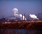 The Yangtze river is polluted with sewage and poison from chemical plants and other heavy industry